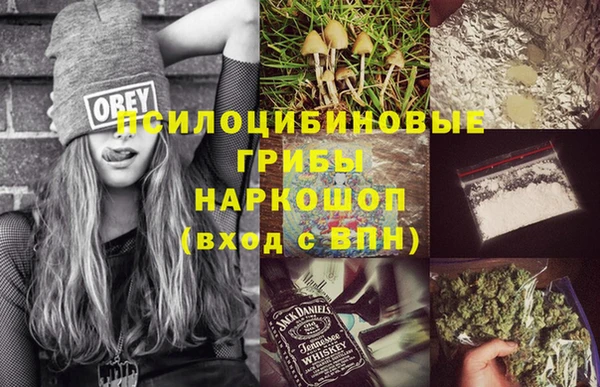 mix Сатка
