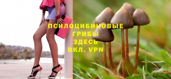 mix Сатка